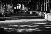 IIP Online Student Photography
